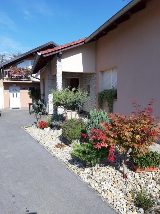 Studio Apartmani "Stimac" Garesnica 外观 照片